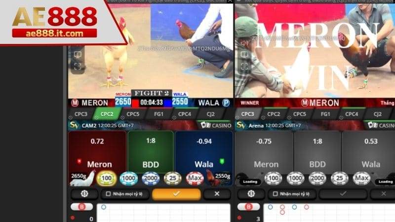 Tiến hành đặt cược