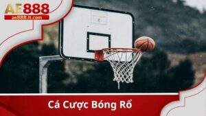 Cá cược bóng rổ tại AE888