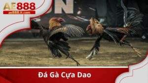 Đá gà cựa dao tại AE888