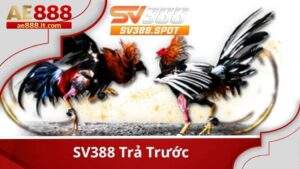 SV388 trả trước tại AE888