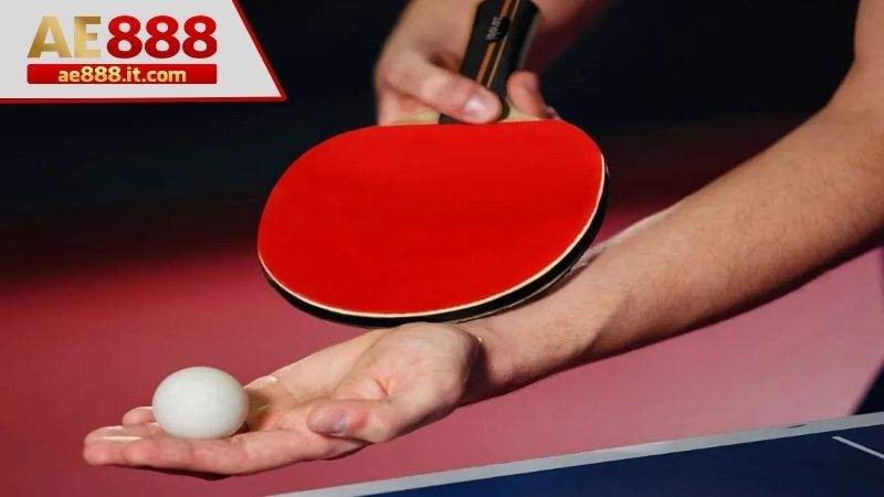 Tại sao nên chơi cá cược bóng bàn tại Thể Thao AE888